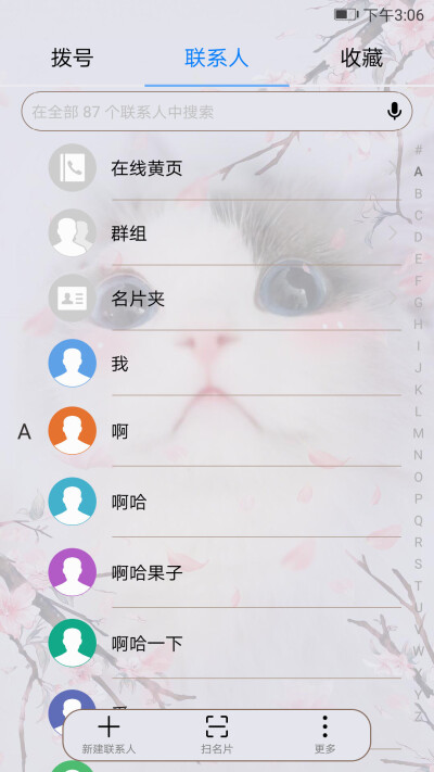 小猫儿