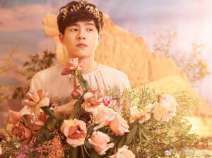 刘昊然小哥哥☆