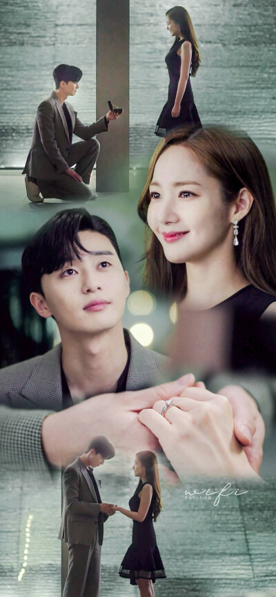 金秘书为何那样 长图