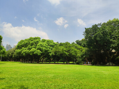 中山大学南校区