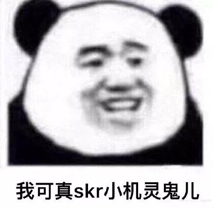 表情包skrskr