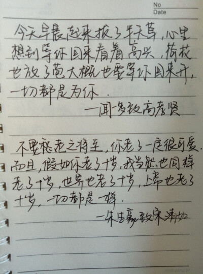 百年情书