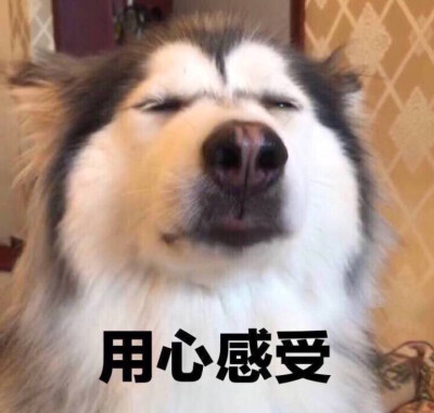 表情