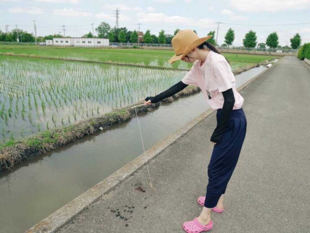 列岛内侧的精灵