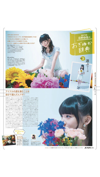 列岛内侧的精灵