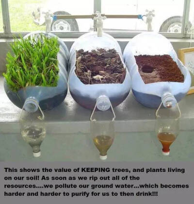 60种植物角新玩法