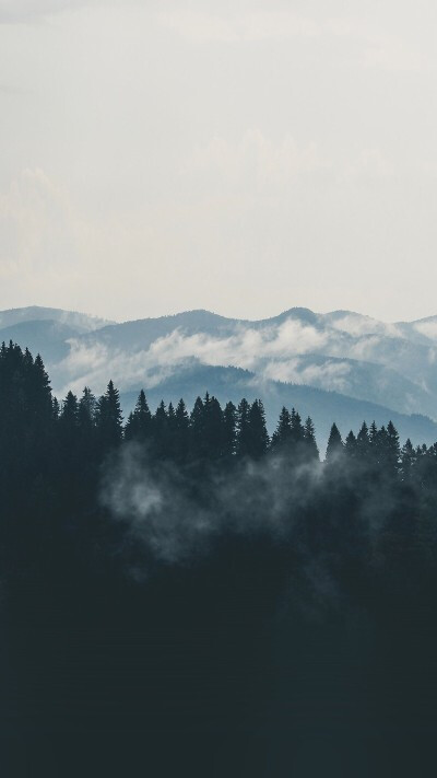 森林，云雾与山峰