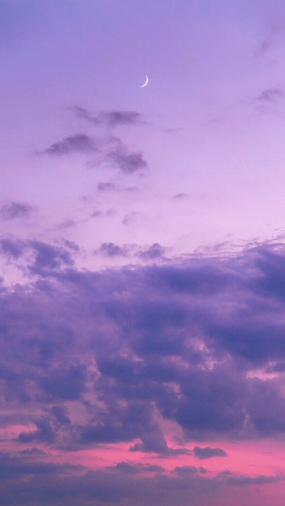 pink·purple