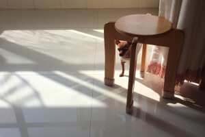 我不知道为什么，每天每天看着你逐渐长大，会在心中弥漫着一种哀伤，既滑稽，又真实