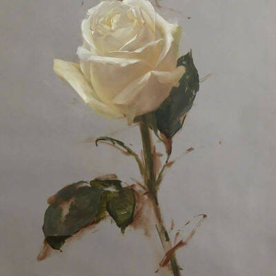 油画里的花