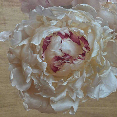 油画里的花