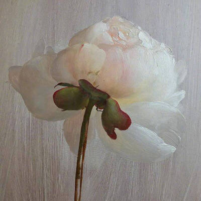 油画里的花