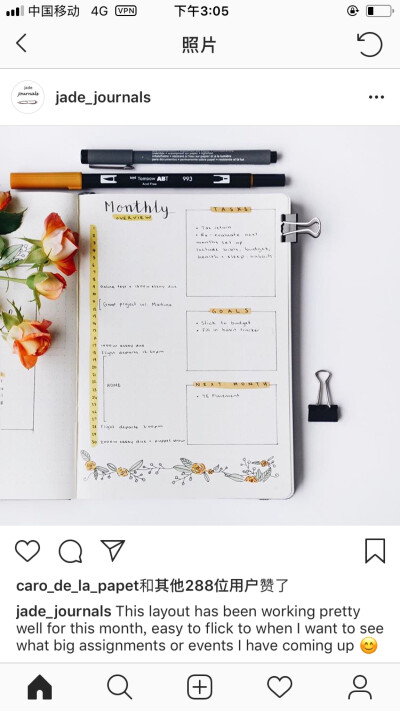 bujo 