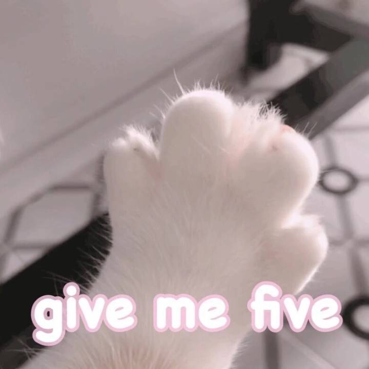 ٩(•̤̀ᵕ•̤́๑)