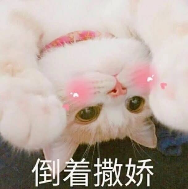 ٩(•̤̀ᵕ•̤́๑)