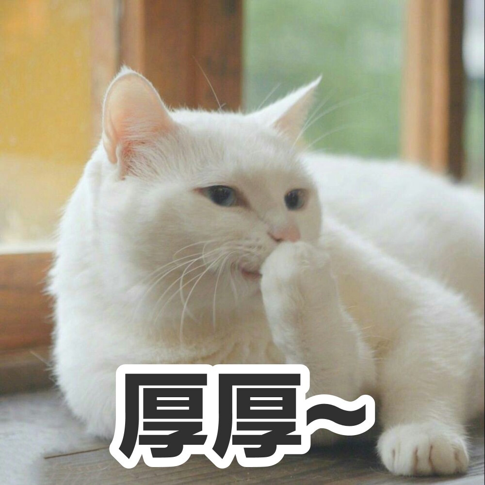 ●