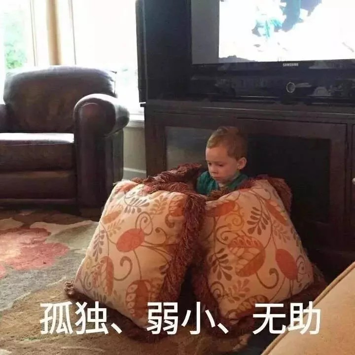 ˎ₍•ʚ•₎ˏ