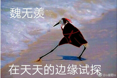 魔道祖师表情包