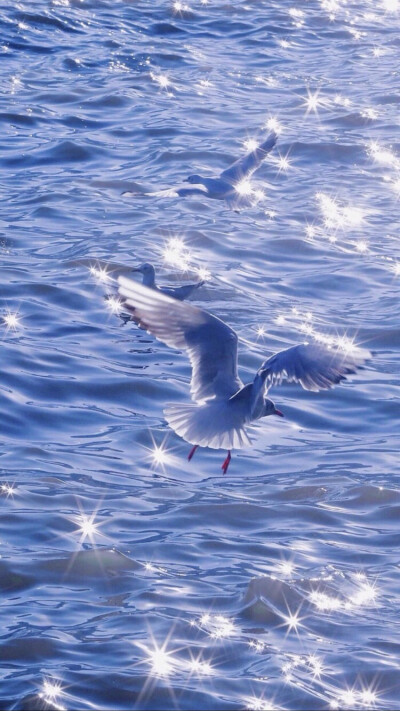 夏天最适合去海边，最适合去有你的海边