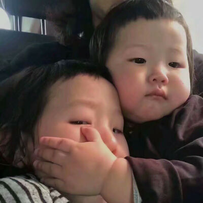 温茶小哥哥. 各种表情包 来源网络. 非原创