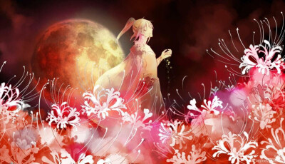 薛晓情头了解一下