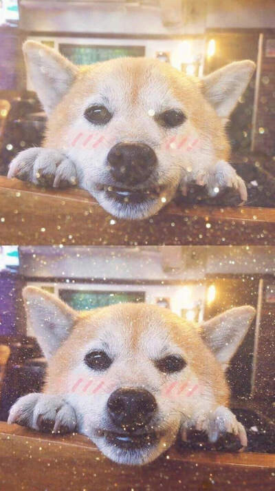 小清新壁纸日系