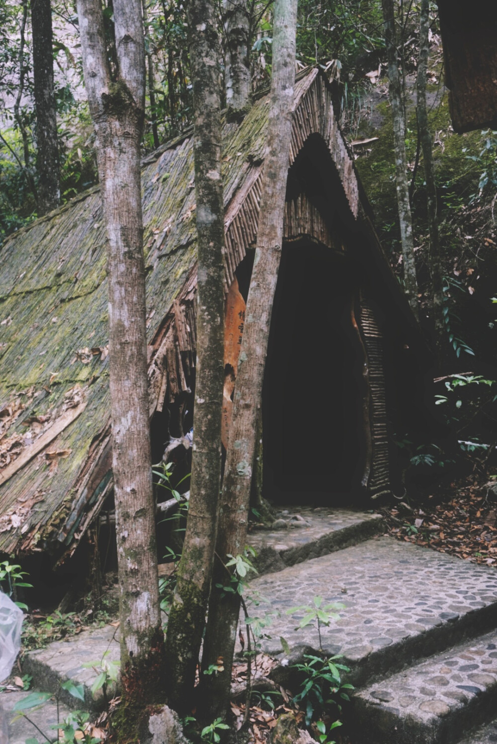 龙川大峡谷///