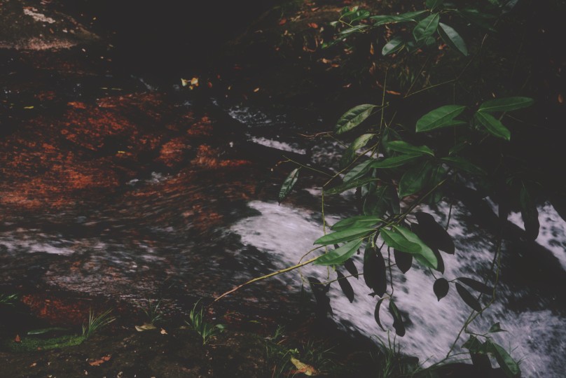 懒得打字了。。。