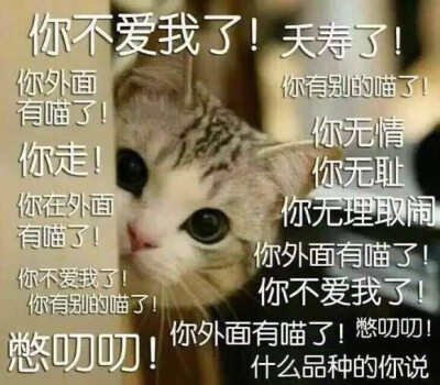 表情包