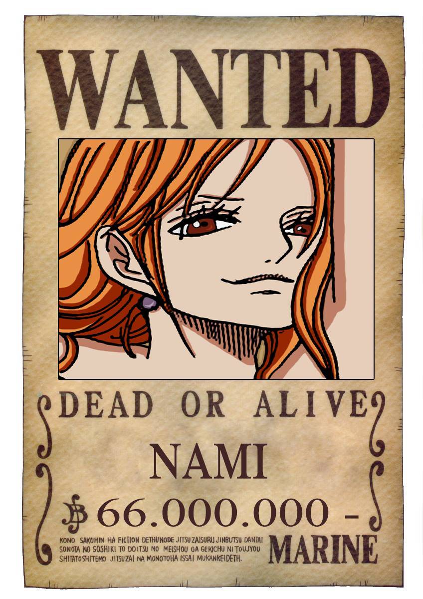 海贼王娜美通缉令