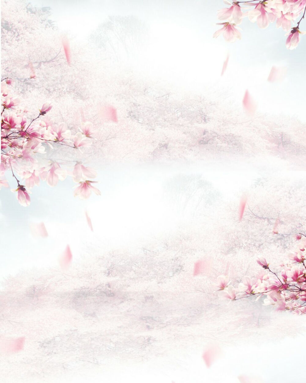 【朴灿星】溶图/高光