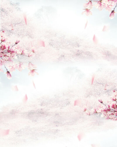 【朴灿星】溶图/高光