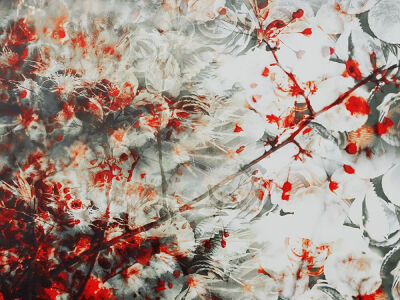 【朴灿星】溶图/高光