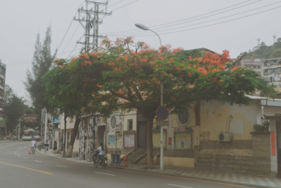 ins背景.qq名片背景.全民背景.朋友圈背景