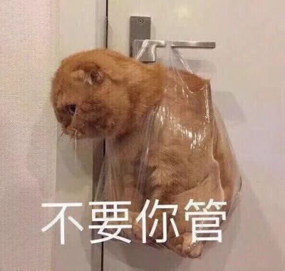 真的好喜欢这俩个表情包呐~ヾ(≧∪≦*)ノ〃