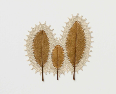 干叶雕琢：细腻与和谐。 | Susanna Bauer ​​​​
