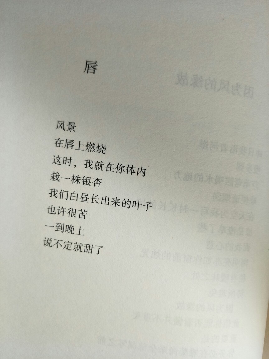 书摘 文字 诗歌