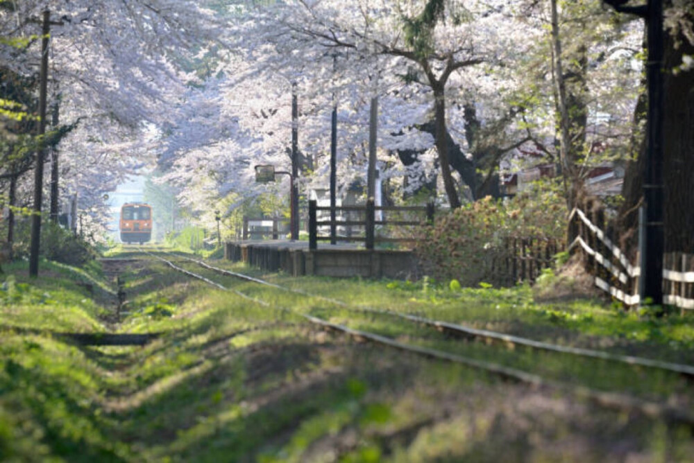 日本风景素材hhhh