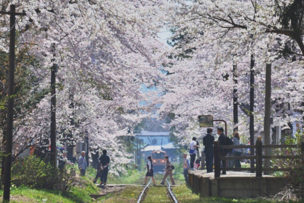 日本风景素材hhhh