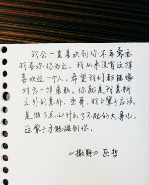 小仙女的绿牌牌