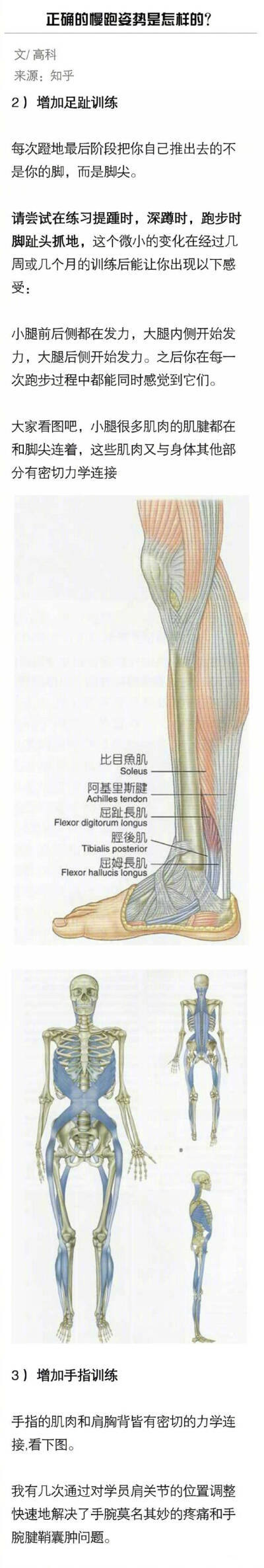 长期跑步如何保护膝盖并使效果最大化？ ​​​​