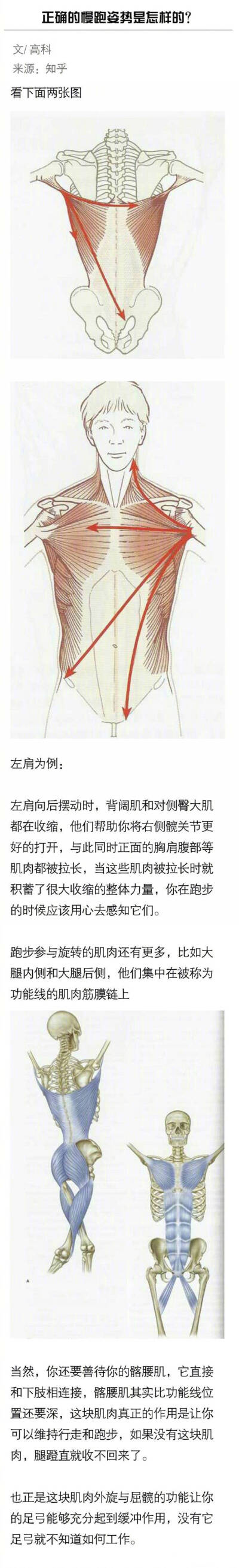 长期跑步如何保护膝盖并使效果最大化？ ​​​​