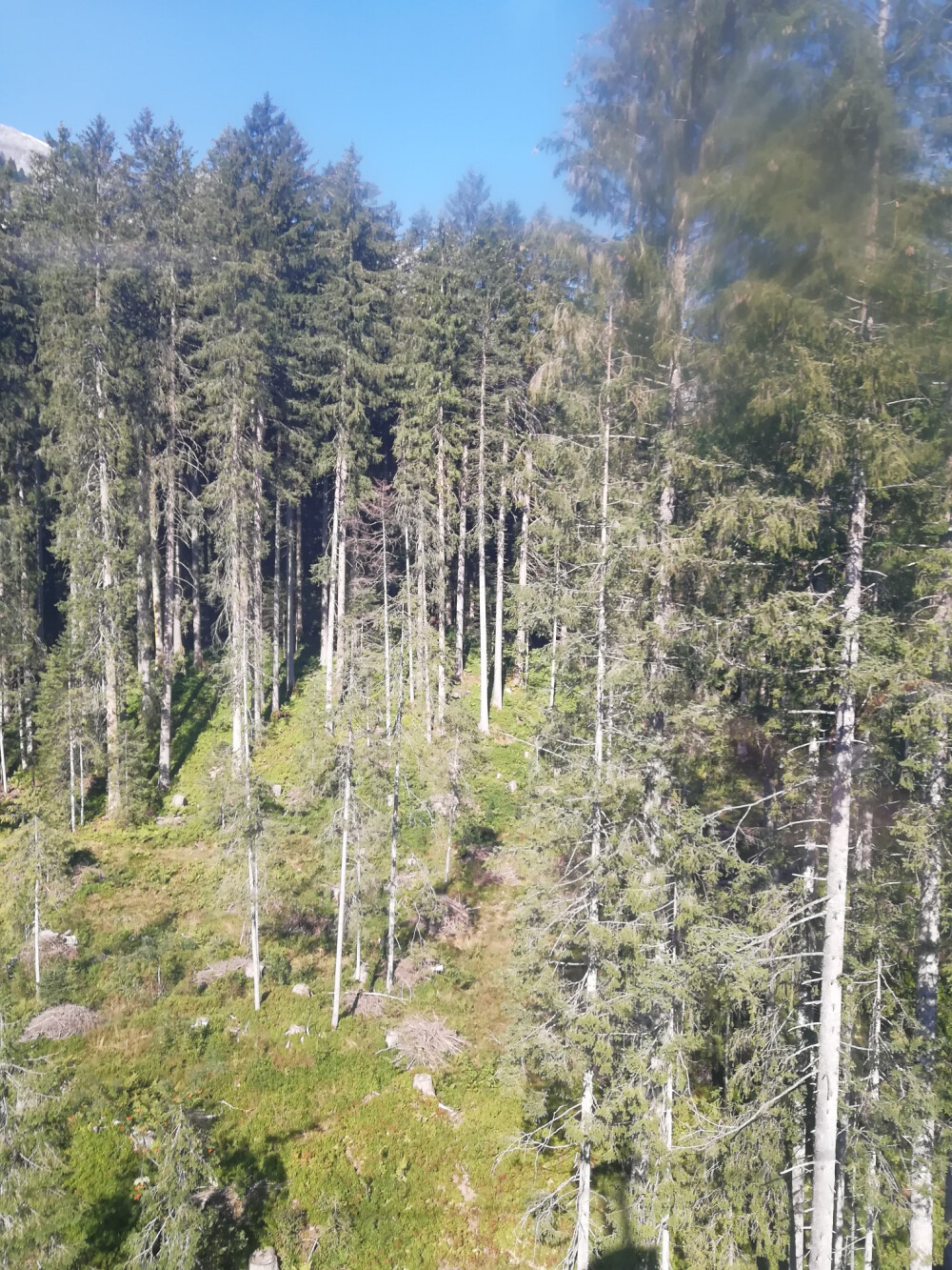 瑞士，铁力士雪山