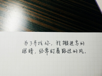  “为了寻找你，我搬进鸟的眼睛，经常盯着路过的风。”