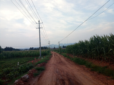 乡村，田野