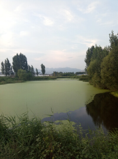 乡村，“绿”湖