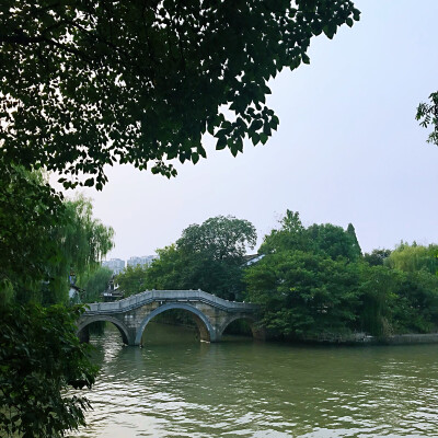 昨日从单位走回家的沿路风景