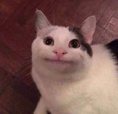 猫咪搞怪头像
from：VBO