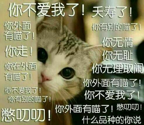 搞笑情头