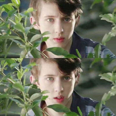 troye sivan